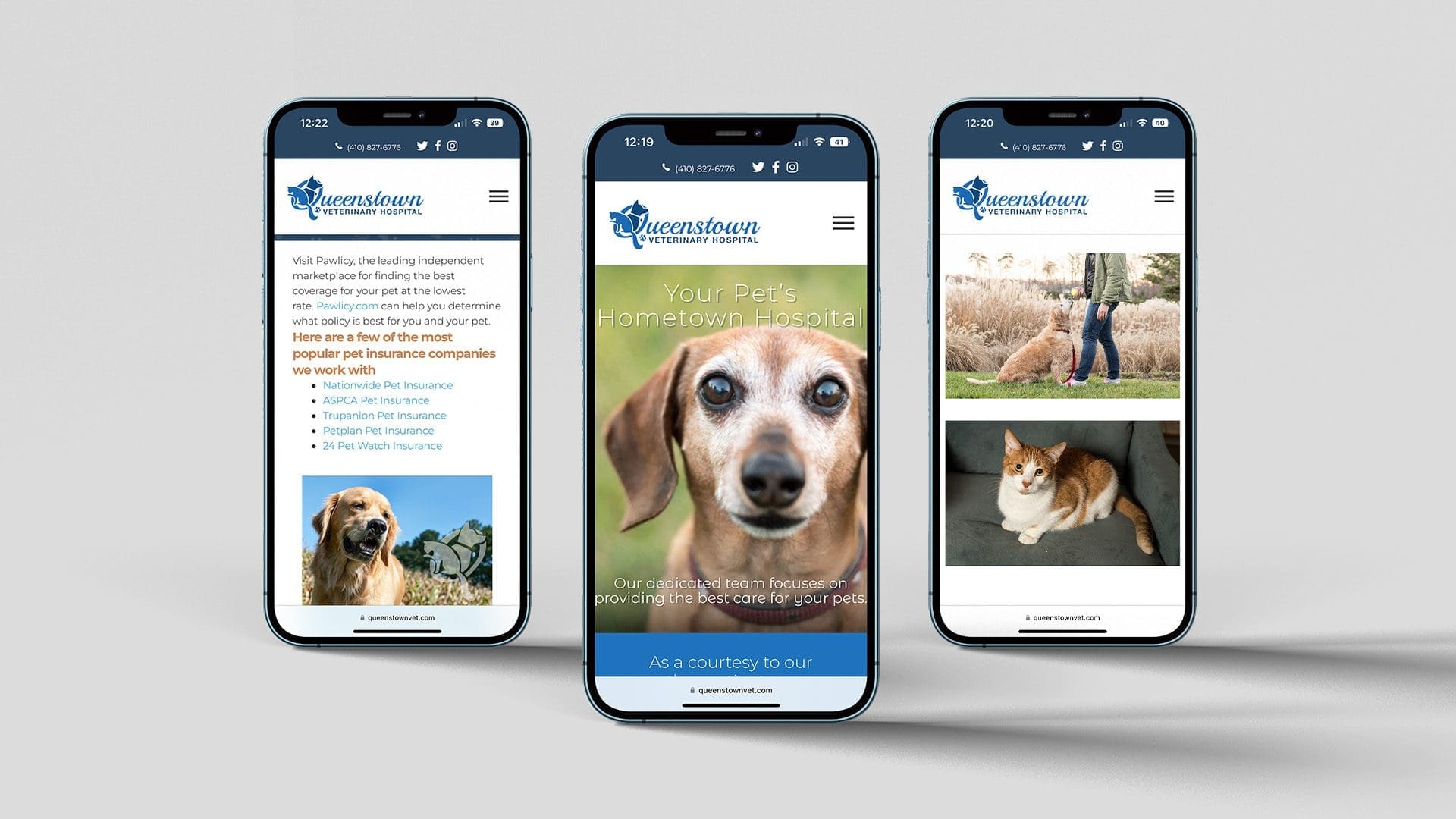 Queenstown Veterinary Hospital Case Study Liquified Creative
